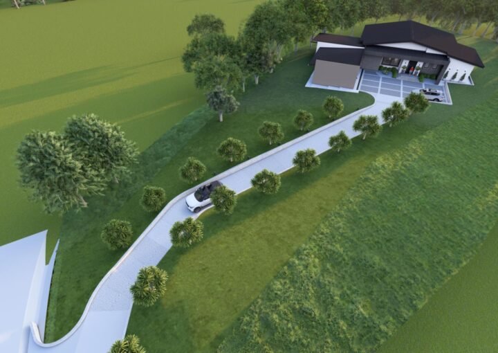 HELICONIA_DRIVEWAY 2