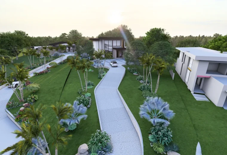 PEACE LILY - DRIVEWAY 1